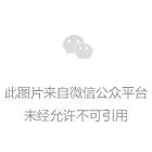 药品监管检查的现状和发展趋势